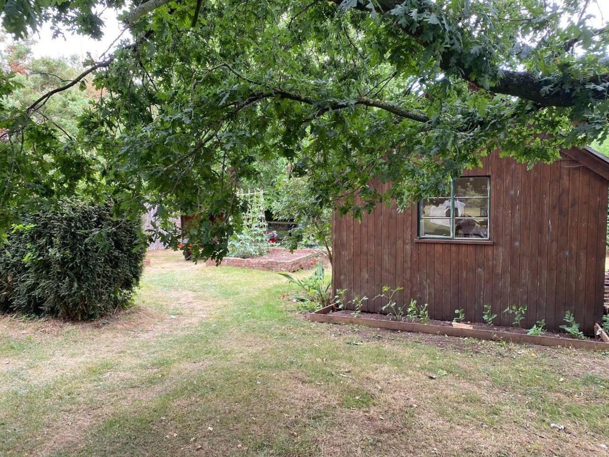 Orchard Cabin Herefordshire Wye Valley Ross-on-Wye Eksteriør bilde